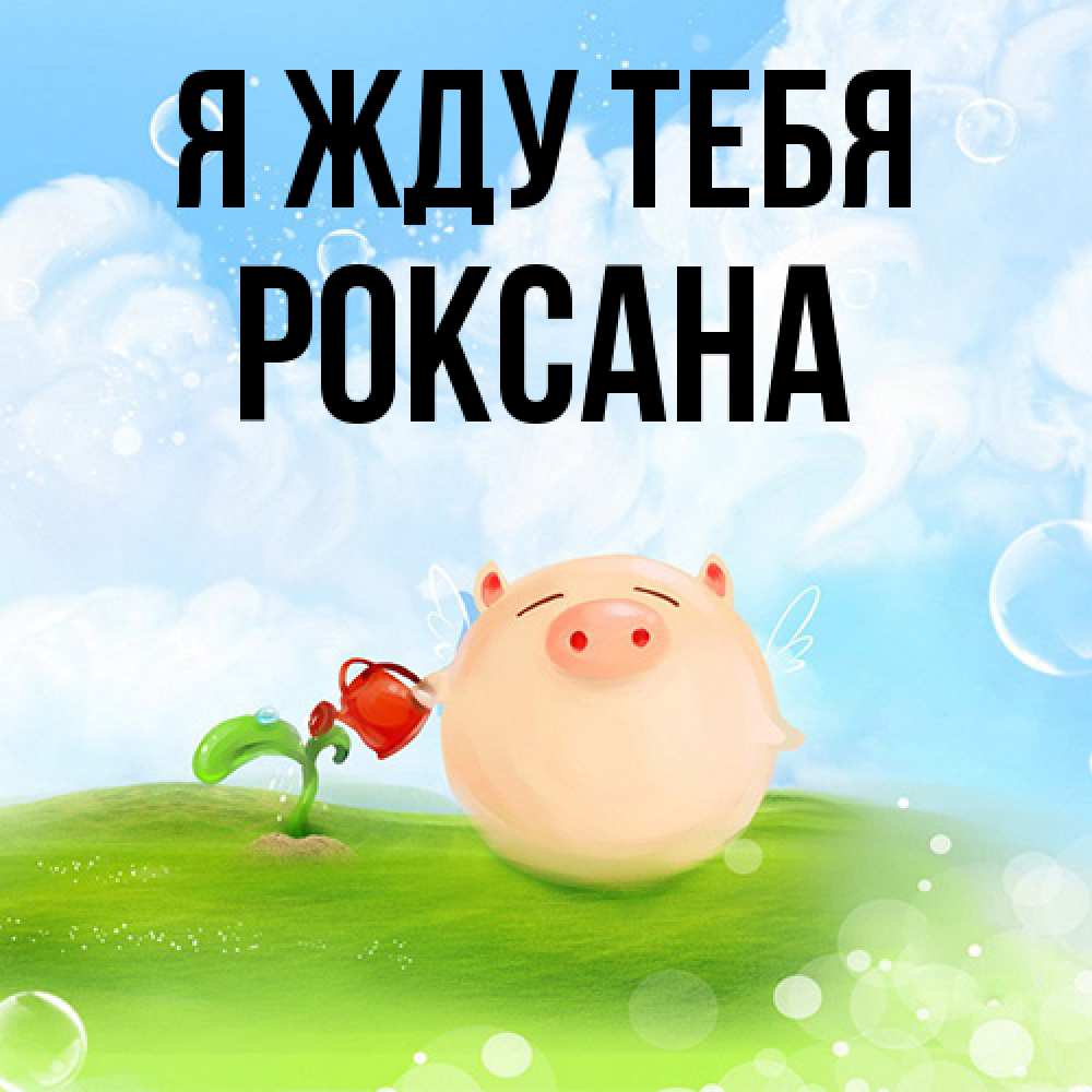 Открытка на каждый день с именем, Роксана Я жду тебя позитивная свинюшка Прикольная открытка с пожеланием онлайн скачать бесплатно 