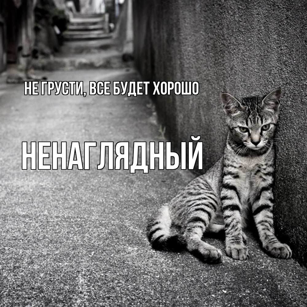 Открытка на каждый день с именем, Ненаглядный Не грусти все будет хорошо скучающий котик Прикольная открытка с пожеланием онлайн скачать бесплатно 