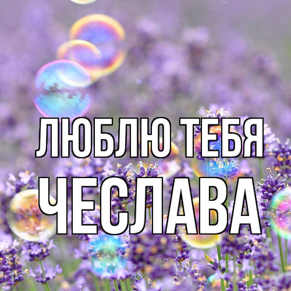 Открытка на каждый день с именем, Чеслава Люблю тебя цветы Прикольная открытка с пожеланием онлайн скачать бесплатно 