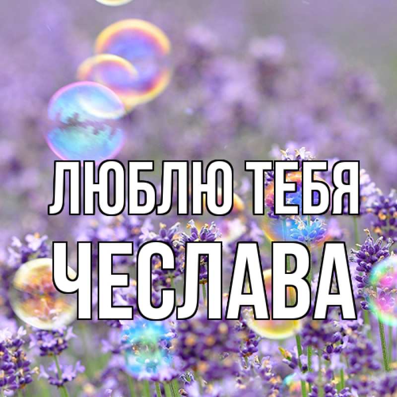 Картинка Люблю тебя, Чеслава