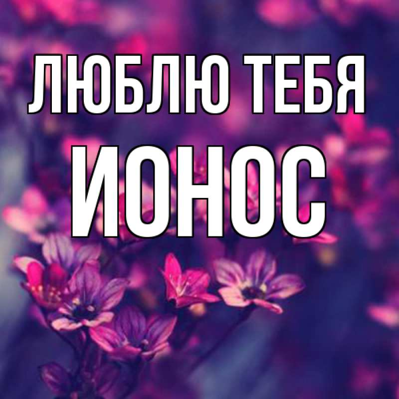 Картинка Люблю тебя, Ионос