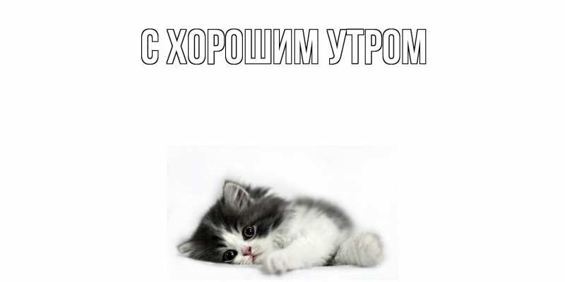 Открытка с именем, Елизар, Скучашки