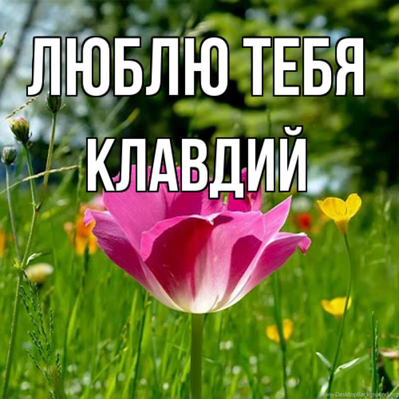 Картинка Люблю тебя, Клавдий