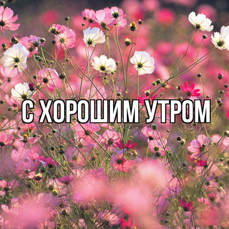 Открытка с именем, Аида, Люблю тебя