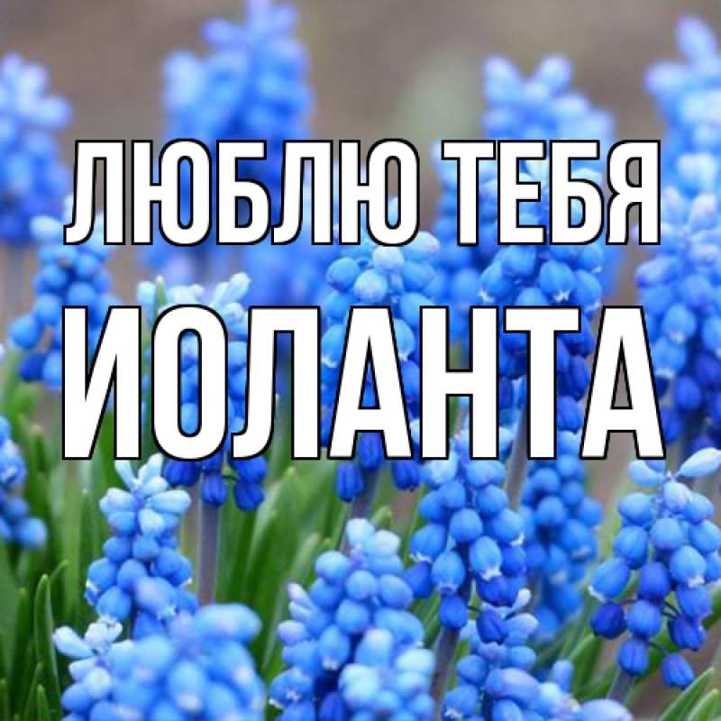 Картинка Люблю тебя, Иоланта