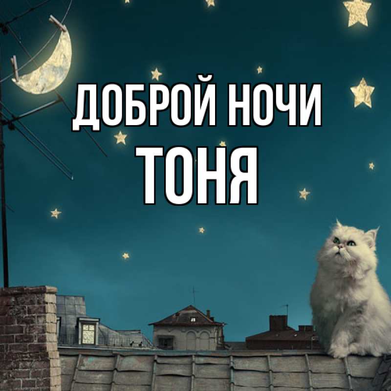 Картинка Доброй ночи, Тоня