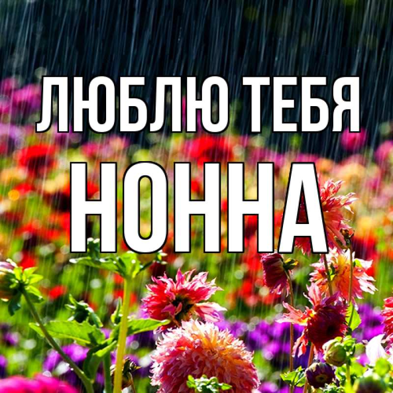 Картинка Люблю тебя, Нонна