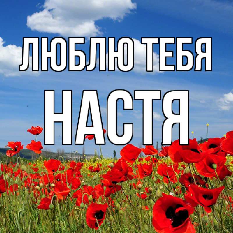 Картинка Люблю тебя, Настя