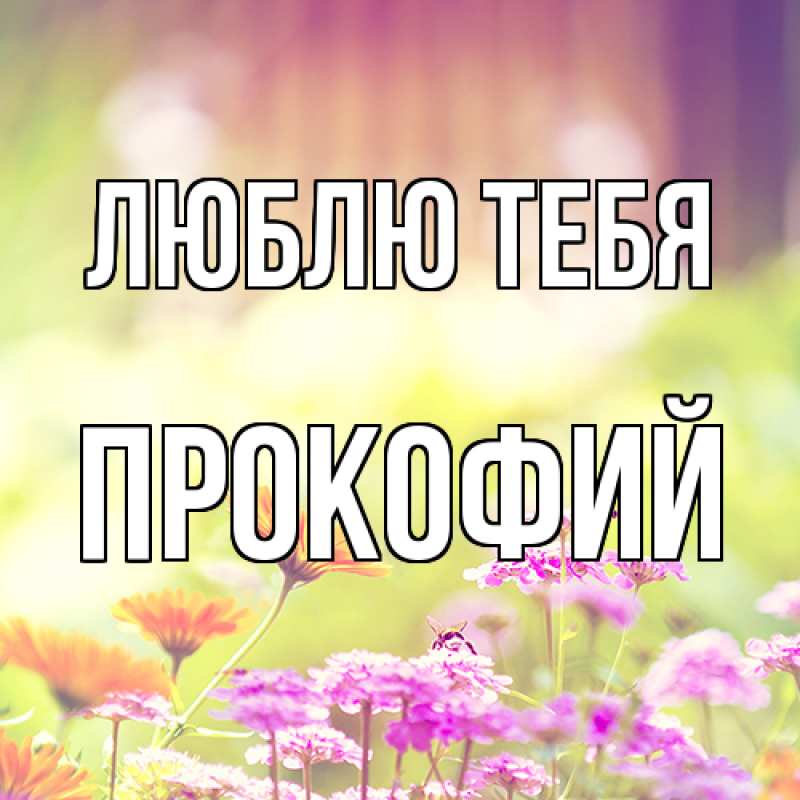 Картинка Люблю тебя, Прокофий
