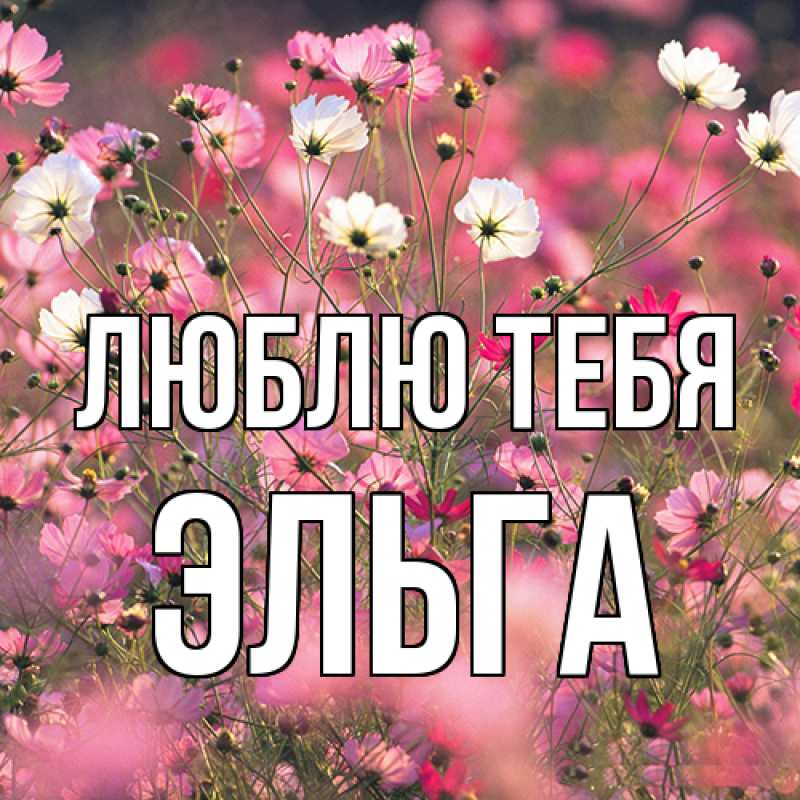 Картинка Люблю тебя, Эльга