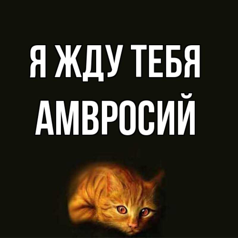 Открытка с именем, Амвросий, Я жду тебя