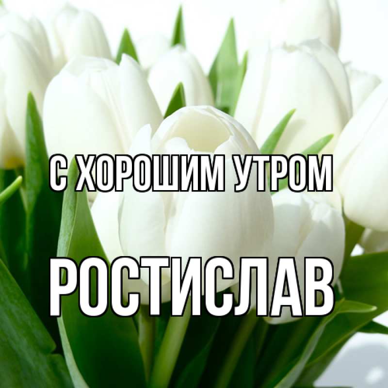 Картинка С хорошим утром, Ростислав