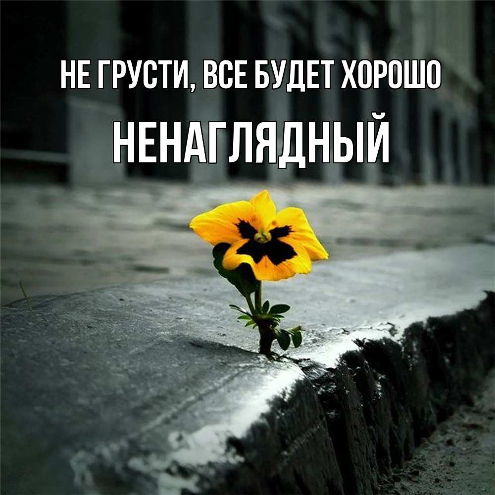 Открытка на каждый день с именем, Ненаглядный Не грусти все будет хорошо не сдавайся Прикольная открытка с пожеланием онлайн скачать бесплатно 