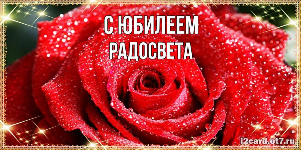 Открытка на каждый день с именем, Радосвета C юбилеем роса и роза. открытка с красивой розой Прикольная открытка с пожеланием онлайн скачать бесплатно 