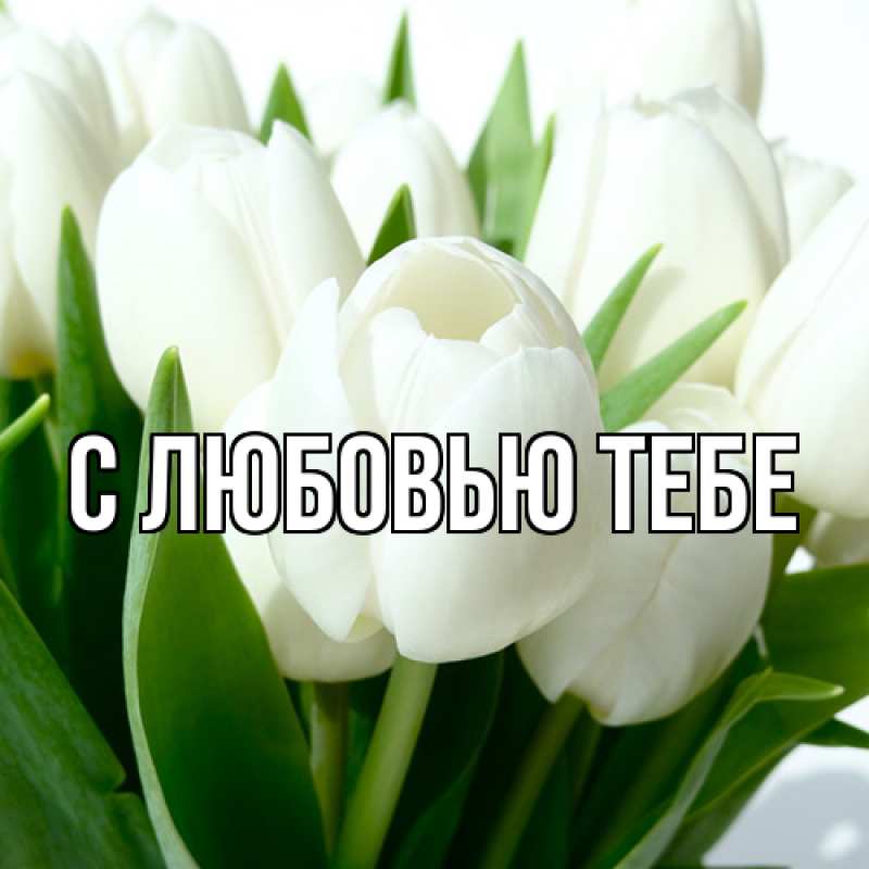 Картинка Люблю тебя, Ева