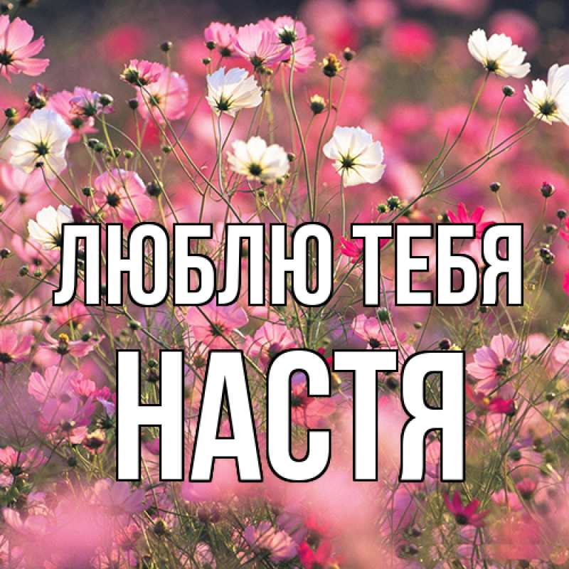 Картинка Люблю тебя, Настя