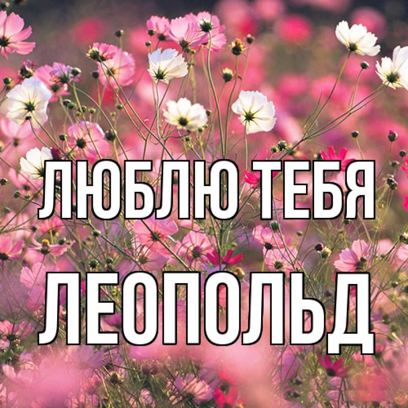 Картинка Люблю тебя, Леопольд