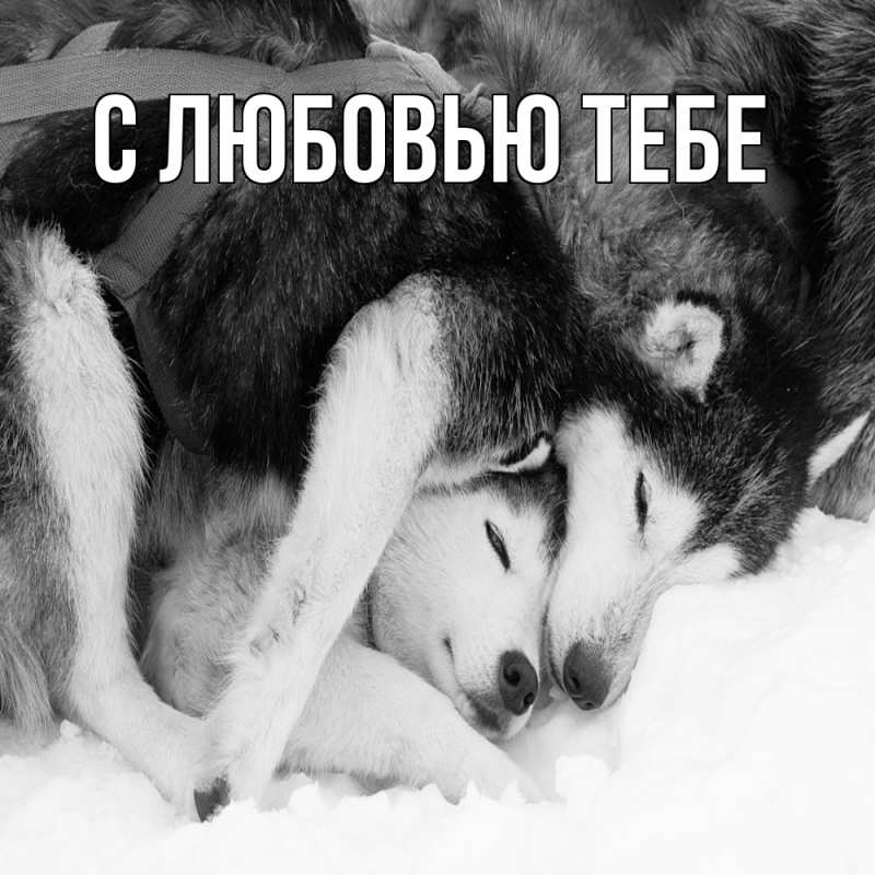 Картинка Обнимашки, Яким