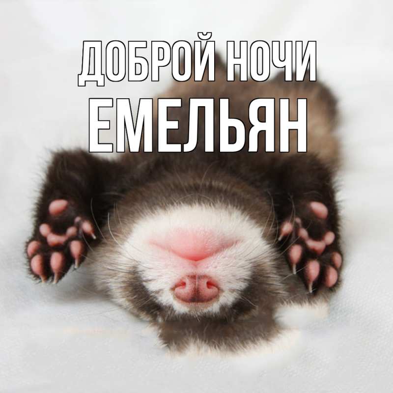Картинка Доброй ночи, Емельян