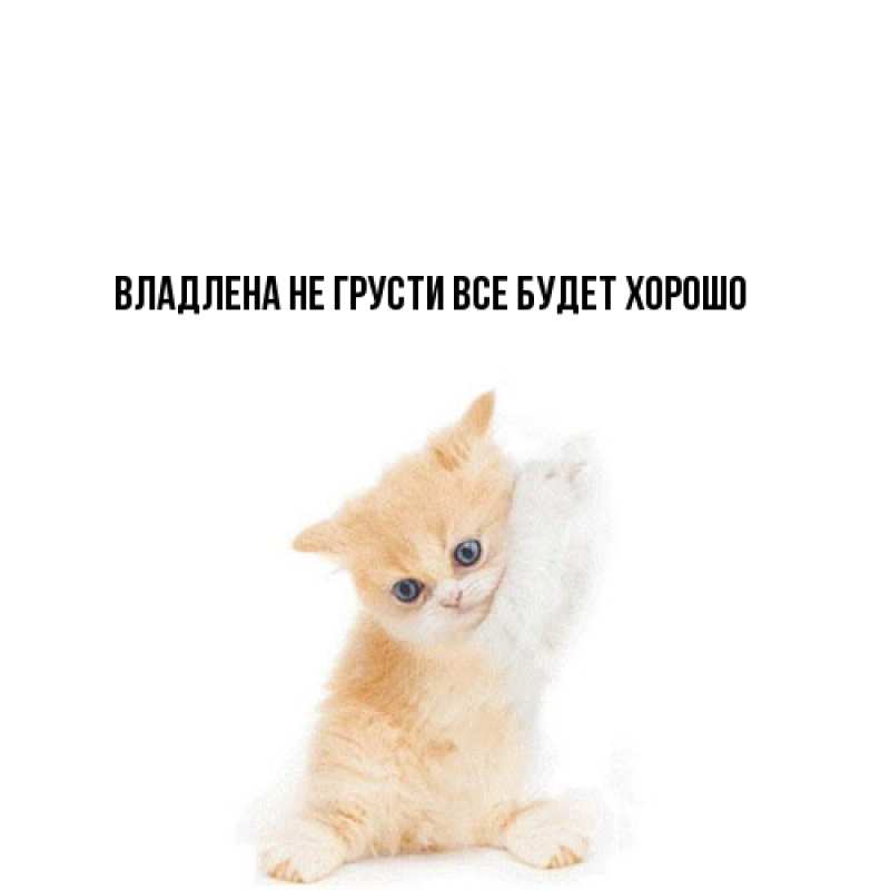 Картинка Не грусти, все будет хорошо, Владлена