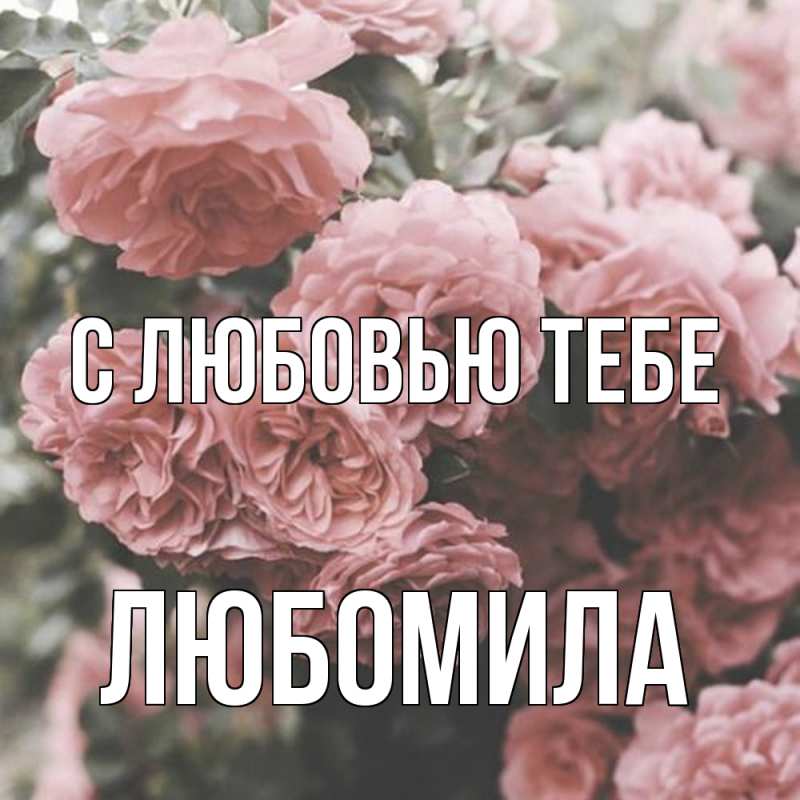 Картинка С любовью тебе, Любомила