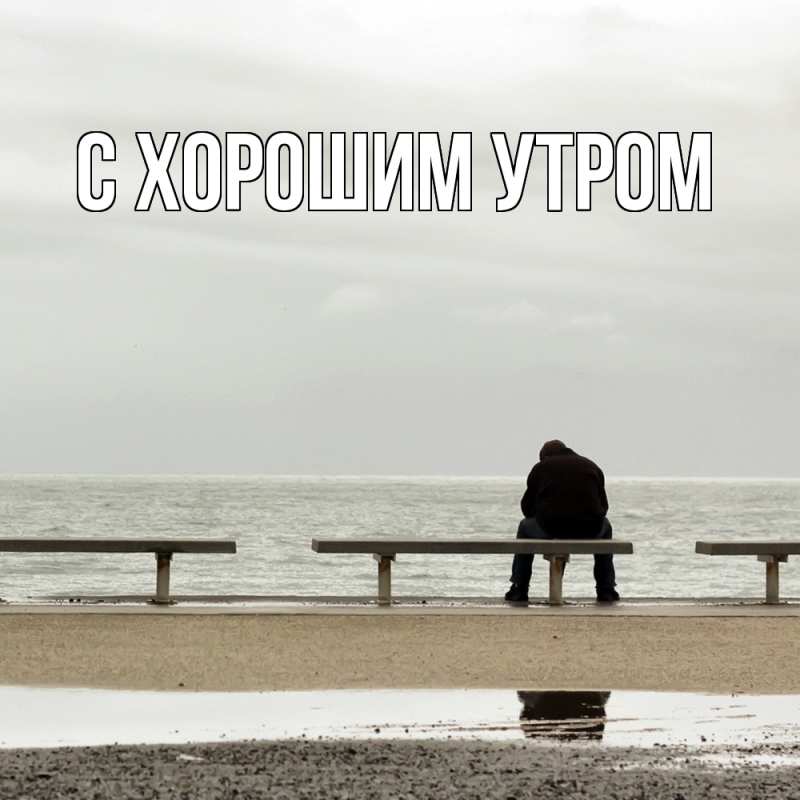 Картинка Скучашки, Дамира