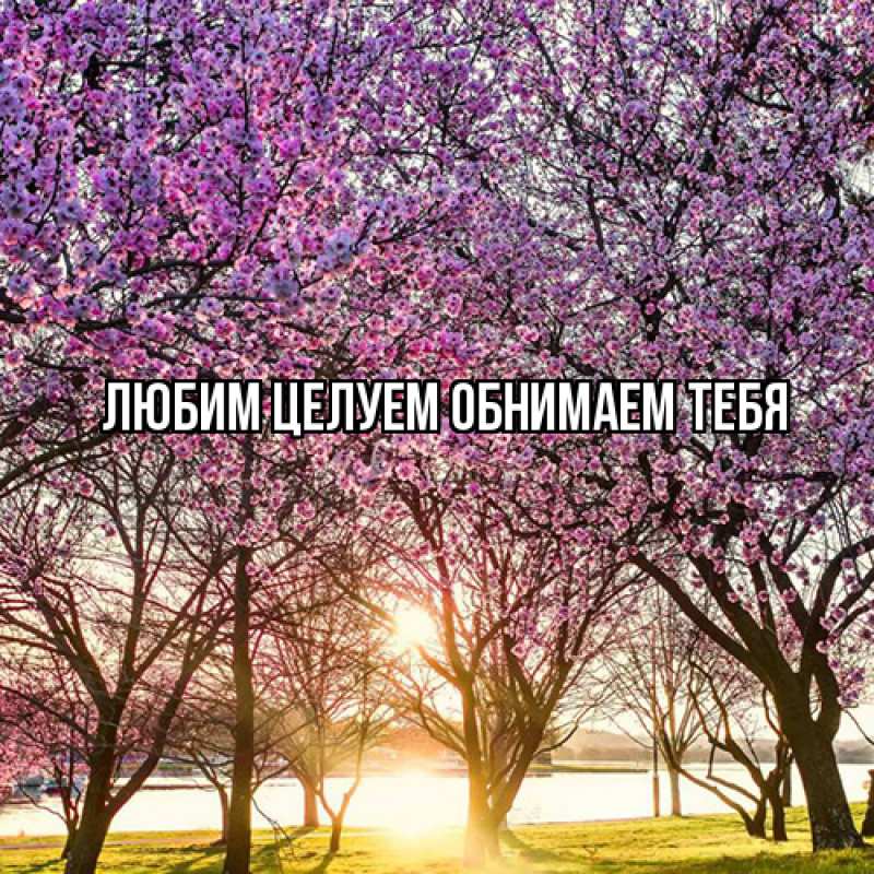 Картинка Люблю тебя, Ненаглядный мой