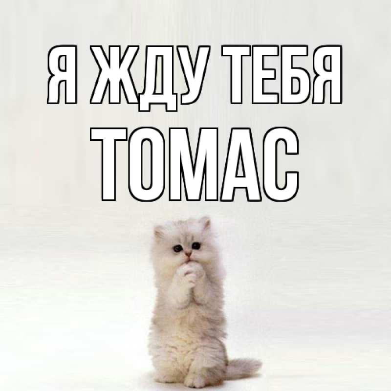 Картинка Я жду тебя, Томас