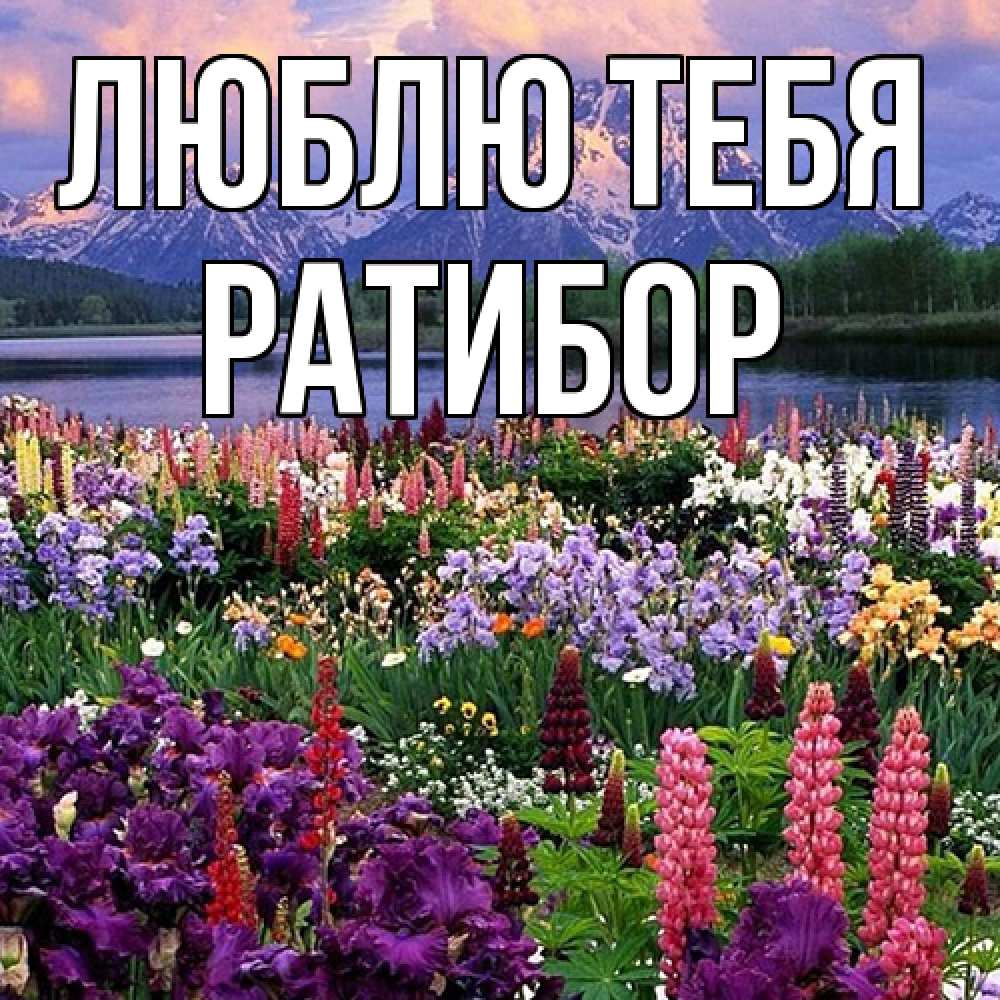 Открытка на каждый день с именем, Ратибор Люблю тебя международный женский день Прикольная открытка с пожеланием онлайн скачать бесплатно 