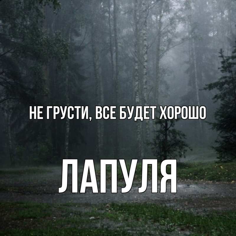 Картинка Не грусти, все будет хорошо, Лапуля