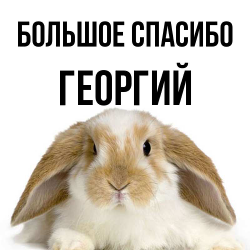 Открытка с именем, Георгий, Большое спасибо