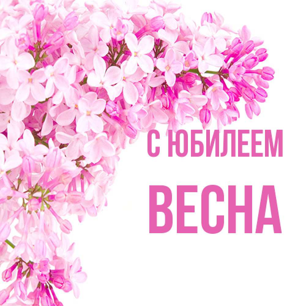 Открытка на каждый день с именем, Весна C юбилеем Сирень на белом фоне Прикольная открытка с пожеланием онлайн скачать бесплатно 