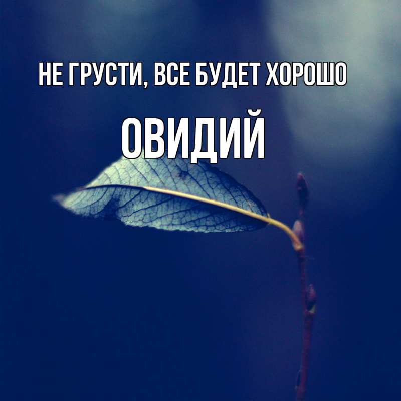 Открытка с именем, Овидий, Не грусти, все будет хорошо
