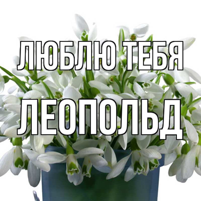 Картинка Люблю тебя, Леопольд