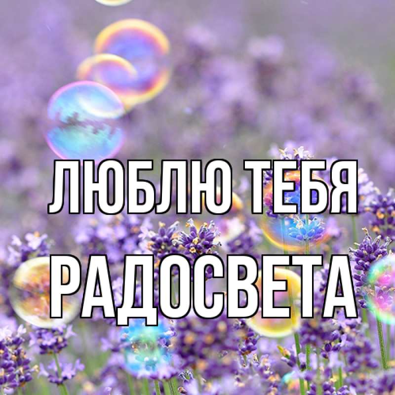 Картинка Люблю тебя, Радосвета