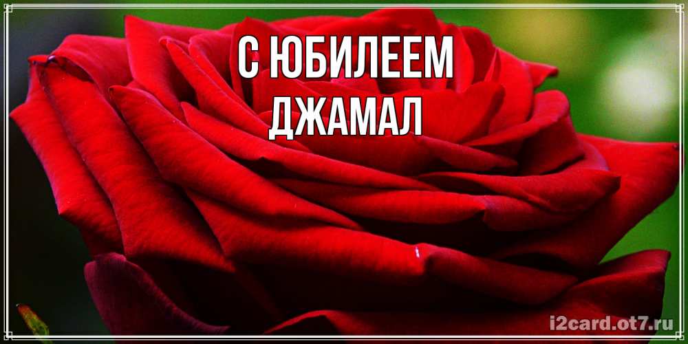 Открытка на каждый день с именем, Джамал C юбилеем розочка очень красивая Прикольная открытка с пожеланием онлайн скачать бесплатно 