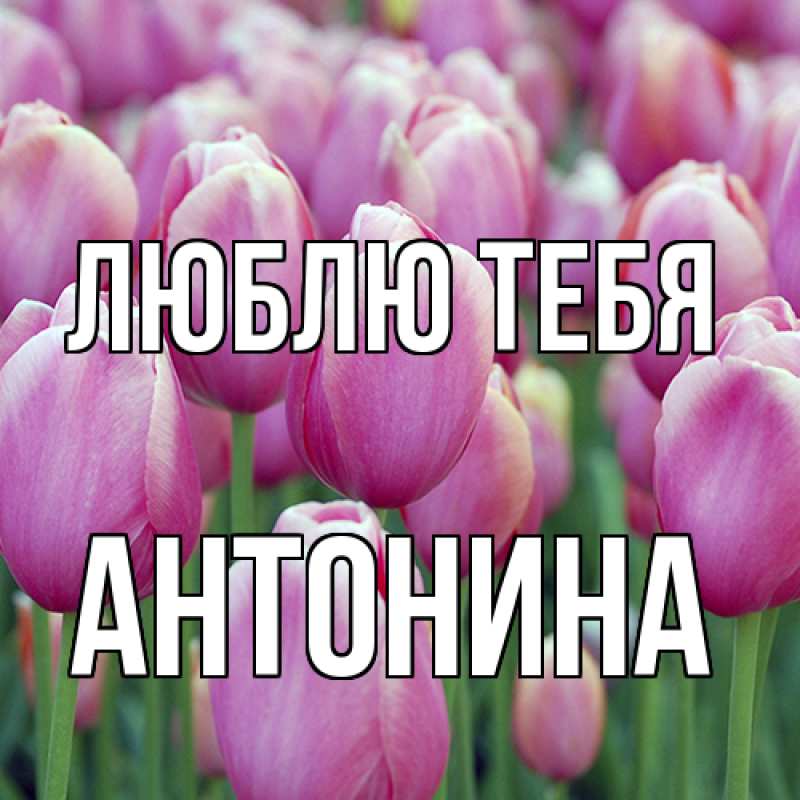 Открытка с именем, Антонина, Люблю тебя