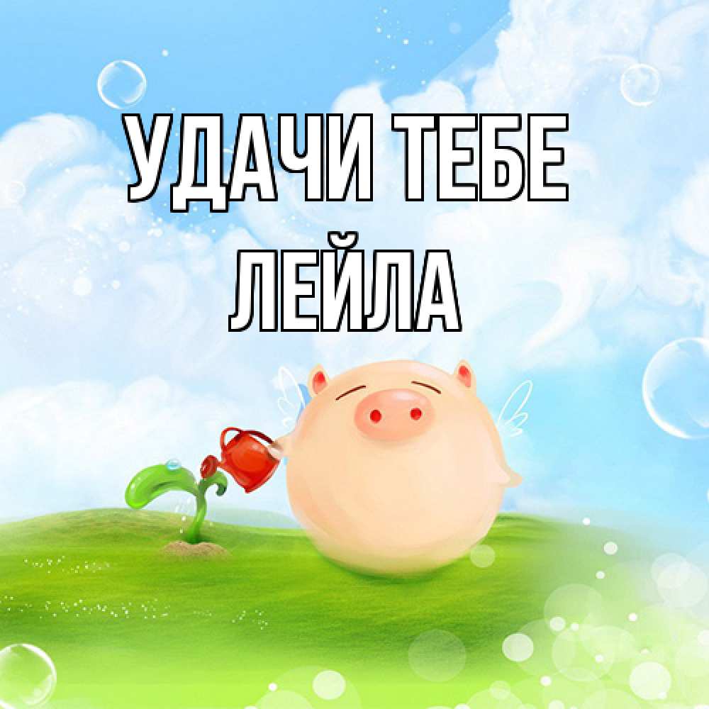 Открытка на каждый день с именем, Лейла Удачи тебе поросенок поливает цветок. летнее настроение Прикольная открытка с пожеланием онлайн скачать бесплатно 