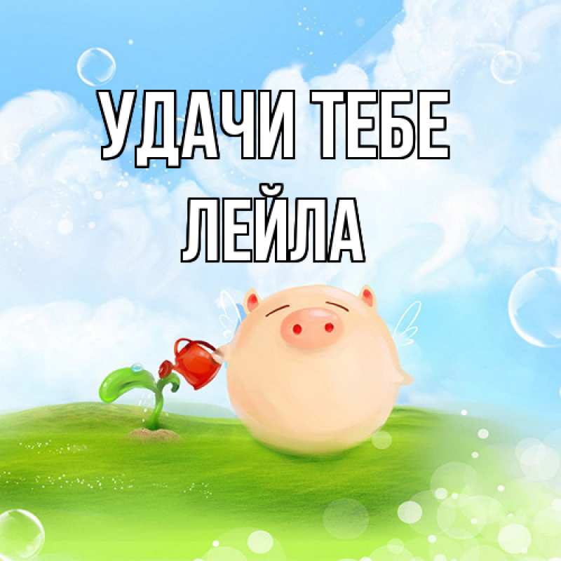 Картинка Удачи тебе, Лейла