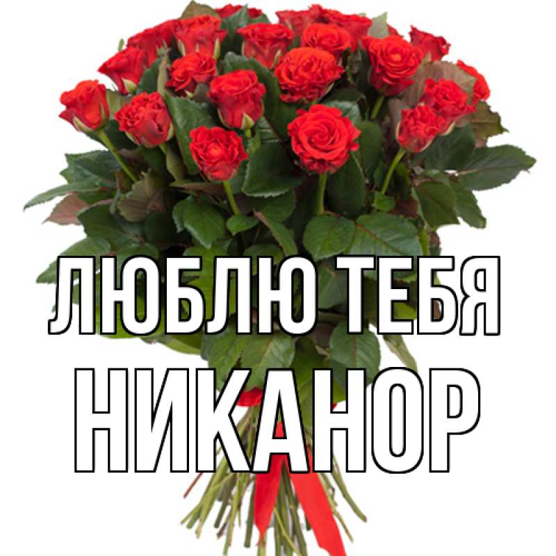 Картинка Люблю тебя, Никанор