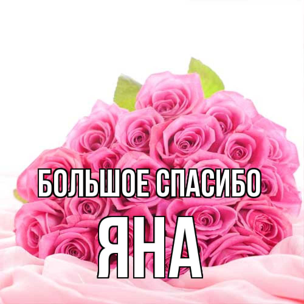 Открытка на каждый день с именем, Яна Большое спасибо розовые розы с подписью Прикольная открытка с пожеланием онлайн скачать бесплатно 