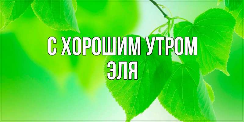 Картинка С хорошим утром, Эля