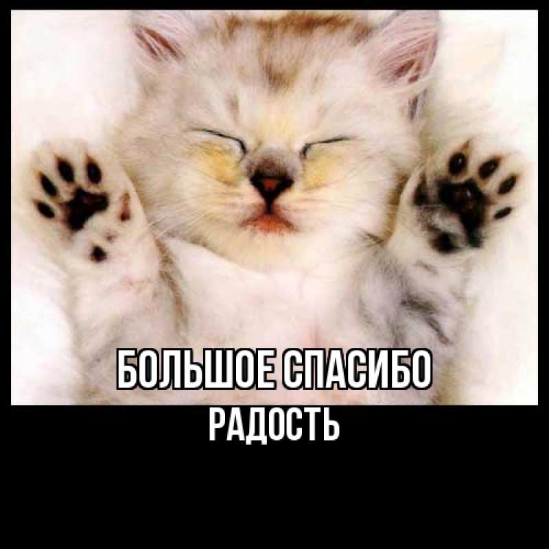 Картинка Большое спасибо, Радость