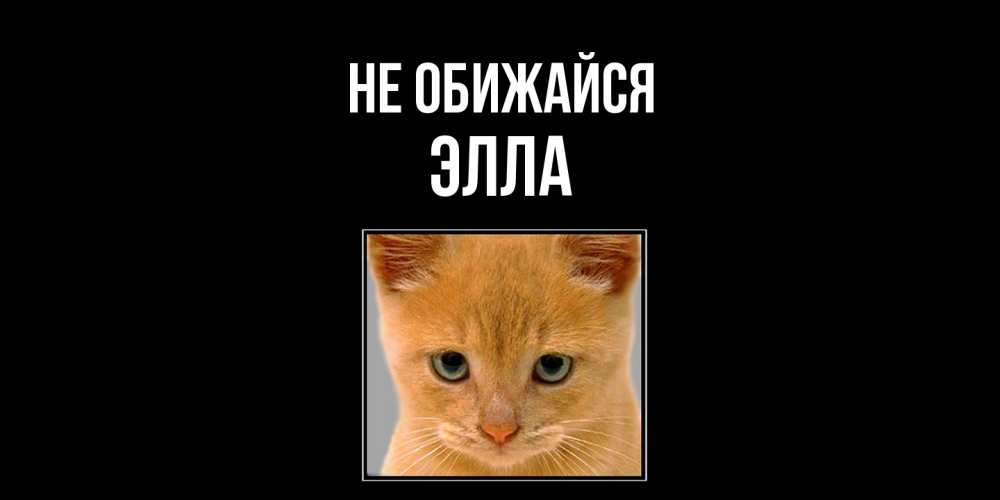 Открытка на каждый день с именем, Элла Не обижайся рыжий грустный кот просит прощения Прикольная открытка с пожеланием онлайн скачать бесплатно 