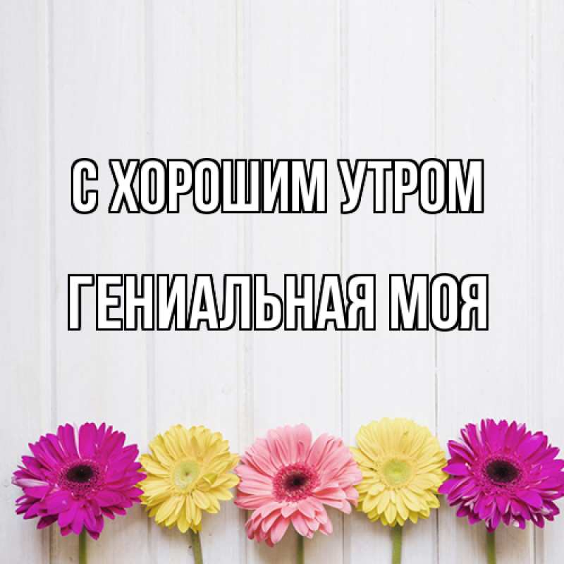 Картинка С хорошим утром, Гениальная моя