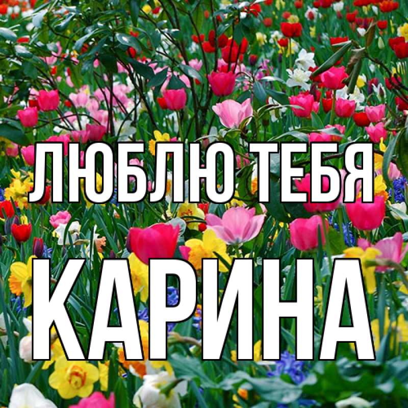 Открытка с именем, Карина, Люблю тебя