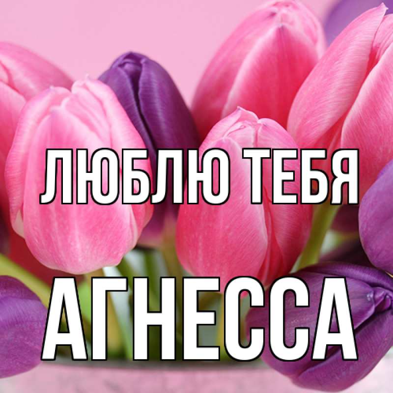 Картинка Люблю тебя, Агнесса
