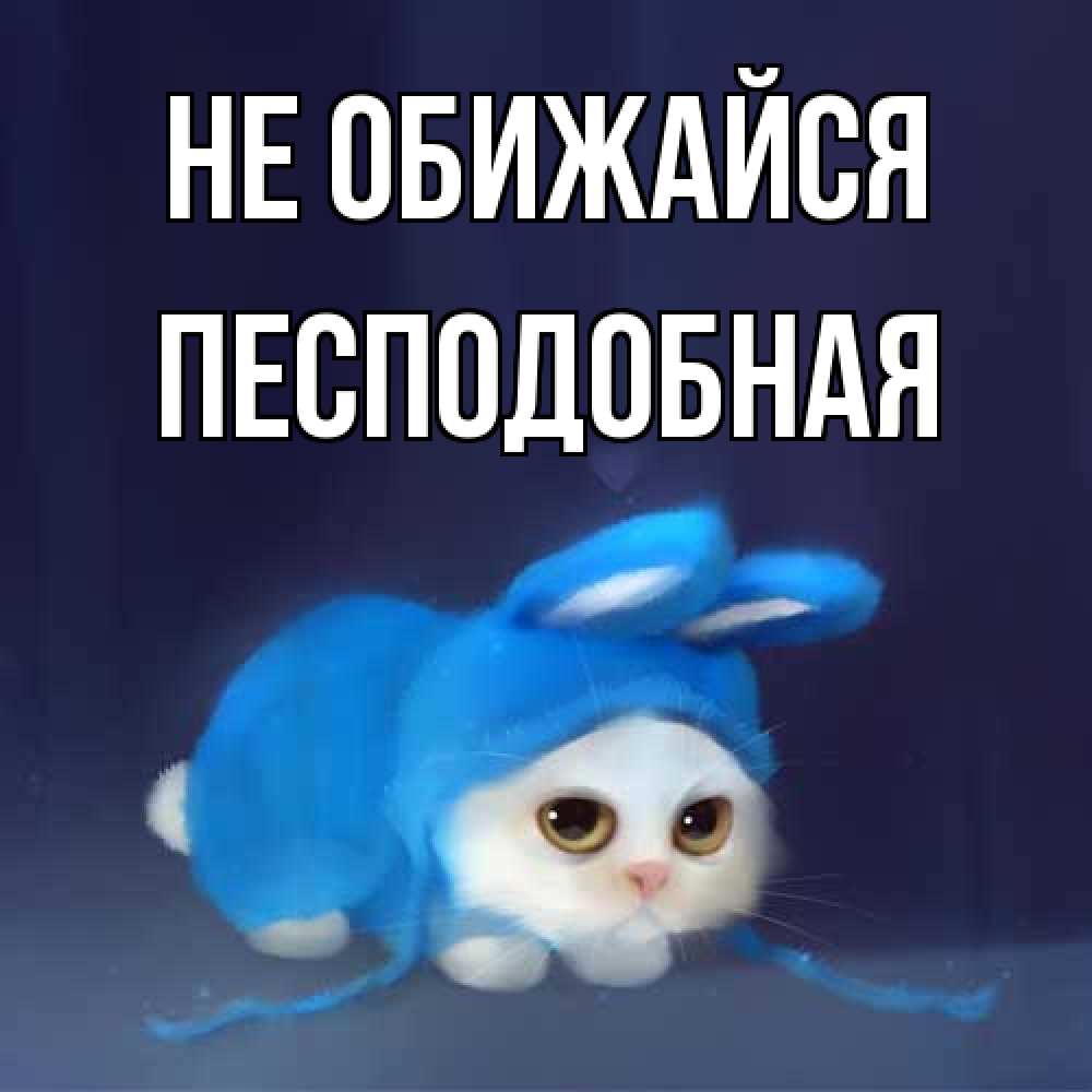 Открытка на каждый день с именем, Песподобная Не обижайся невинный котозай просит прощения Прикольная открытка с пожеланием онлайн скачать бесплатно 