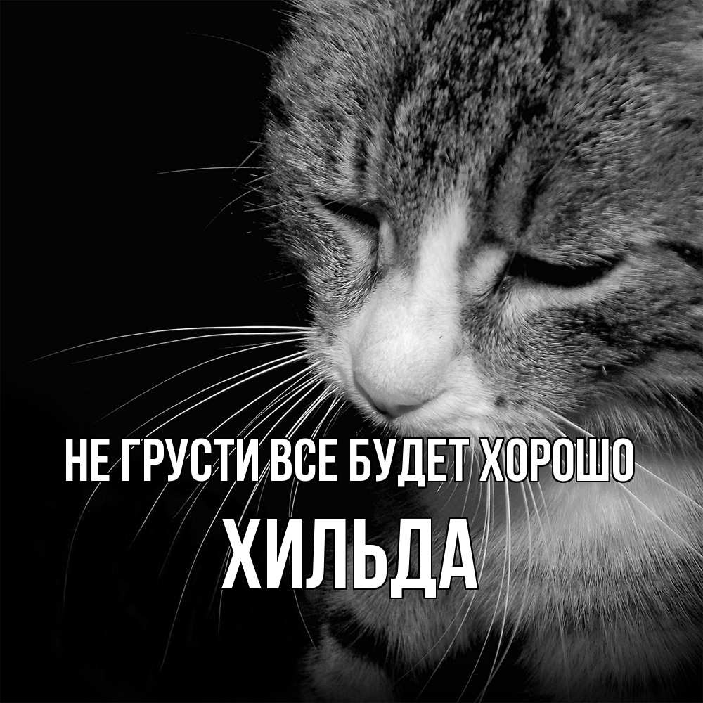 Открытка на каждый день с именем, Хильда Не грусти все будет хорошо грустный котик Прикольная открытка с пожеланием онлайн скачать бесплатно 