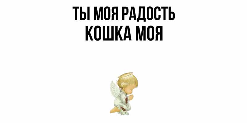 Картинка Ты моя радость, Кошка моя